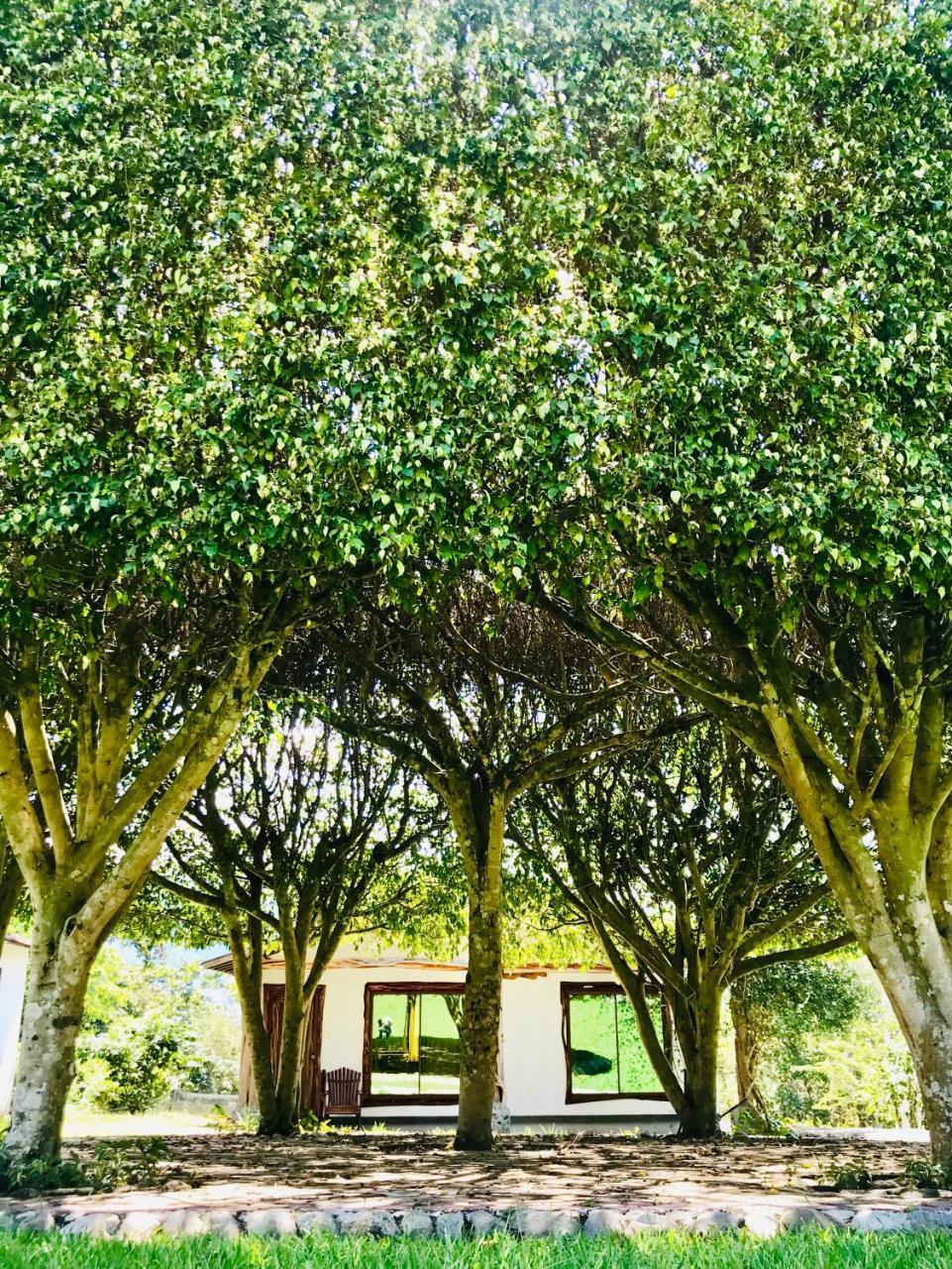 Hosteria Tierra Dorada Yantzaza Extérieur photo
